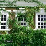 Preserving Highgate’s Charm: The Timeless Elegance of Sash Windows